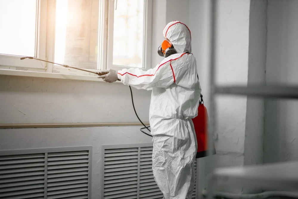Professional mold remediation services in Wolcott, CT